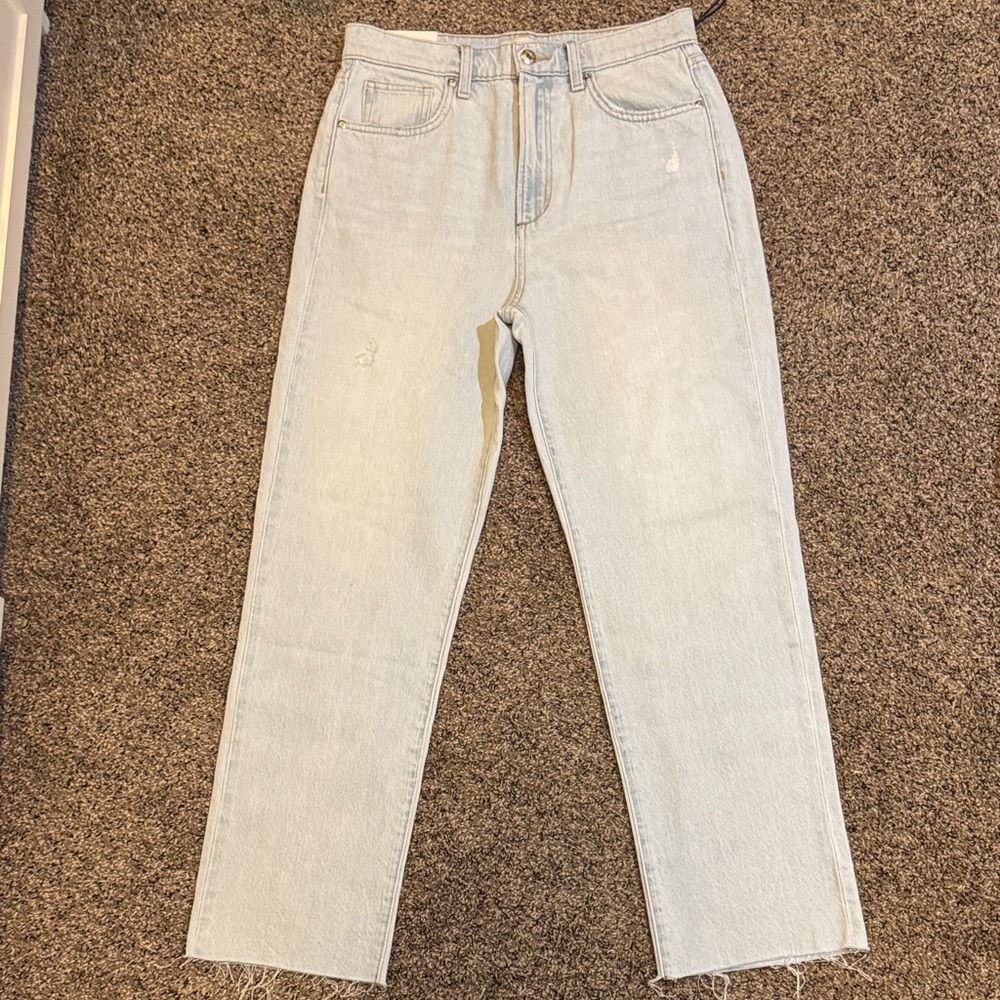 Joe's Jeans Women's the Margot slim ankle